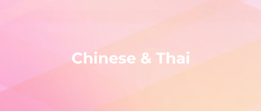 MDT-NF003 中泰雙語(yǔ)平行語(yǔ)料庫(kù)